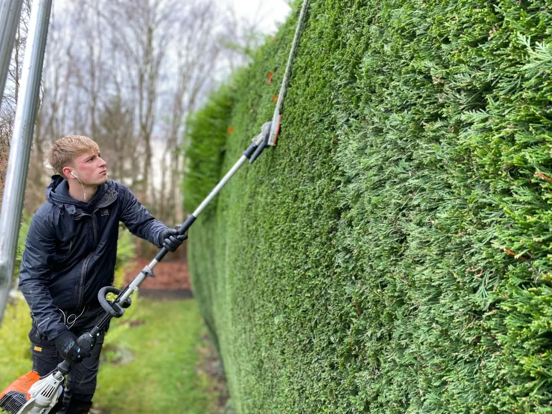 Hedge reduction using a pole trimmer