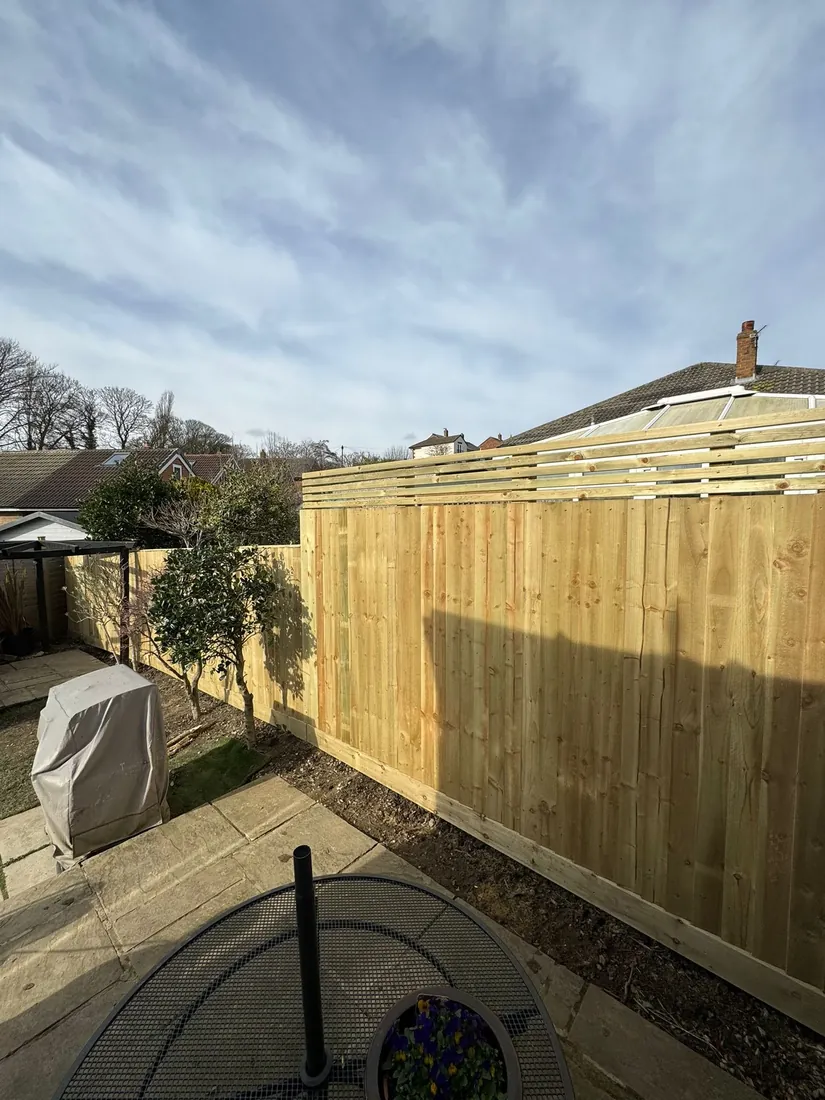 Hedge trimmed and shaped along a garden boundary