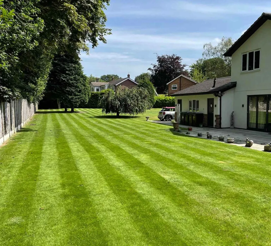 Large striped lawn freshly cut in front of a house