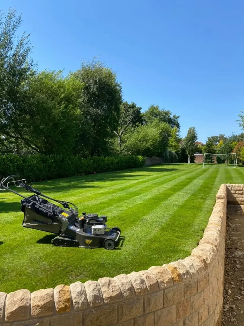 Stand-on mower creating stripes on a lawn