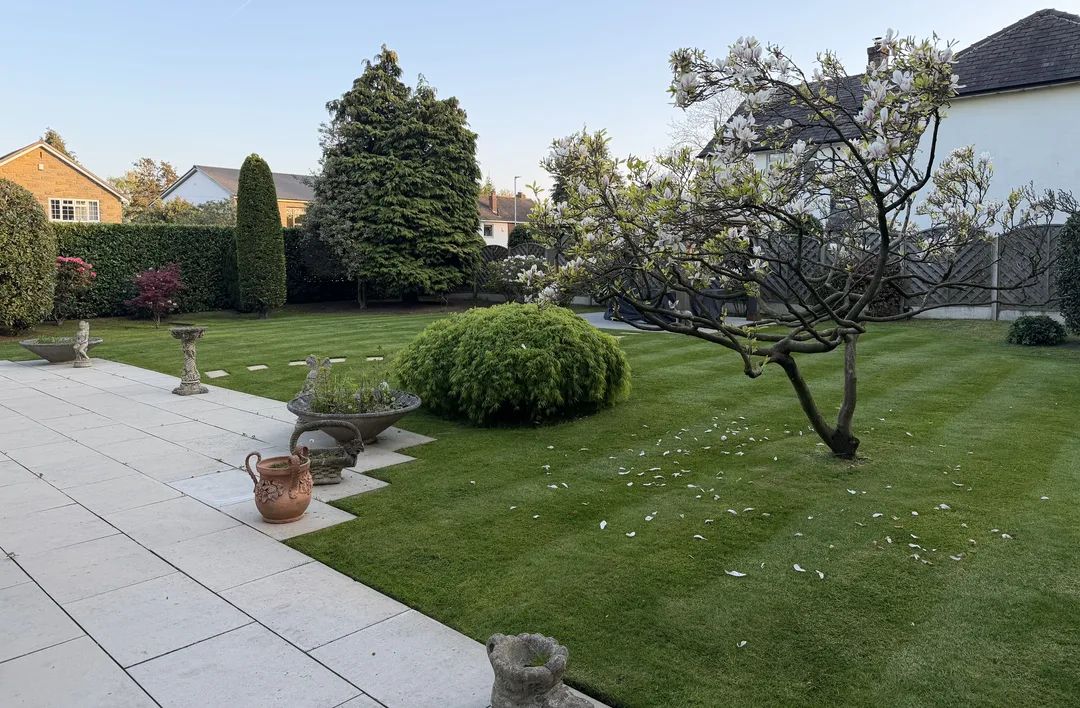 Freshly striped lawn in a large residential garden with mature planting