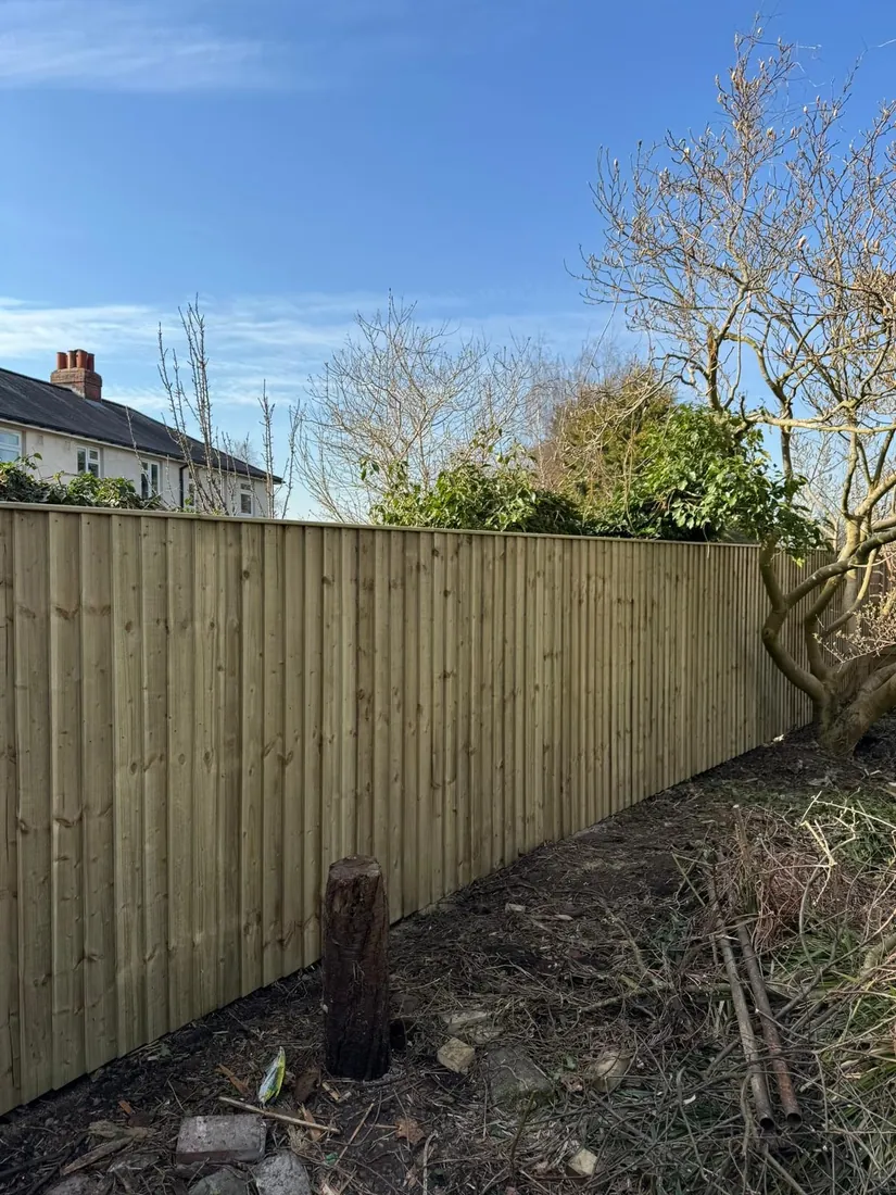 Hedge reduction work from a ladder on a large boundary